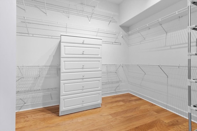 spacious closet with hardwood / wood-style floors