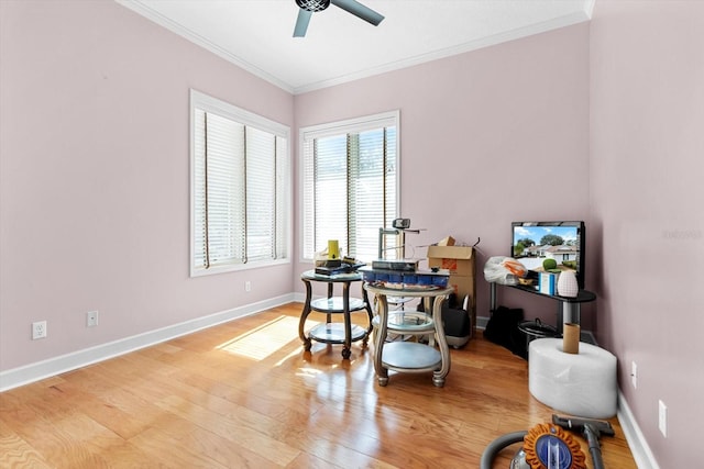 office with ceiling fan, light hardwood / wood-style flooring, and ornamental molding