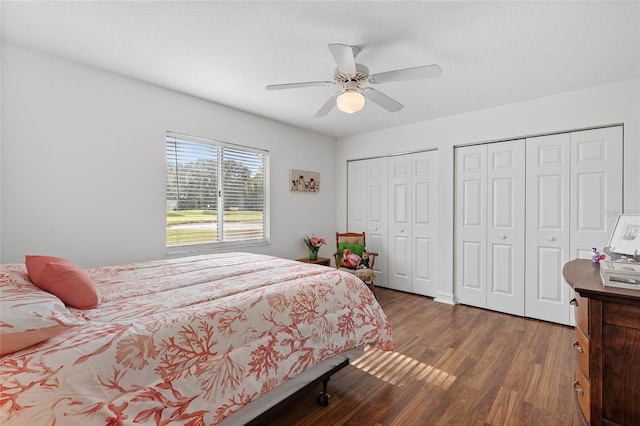 bedroom with hardwood / wood-style flooring, ceiling fan, and two closets