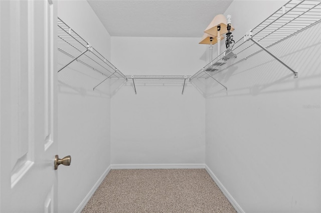 spacious closet featuring carpet