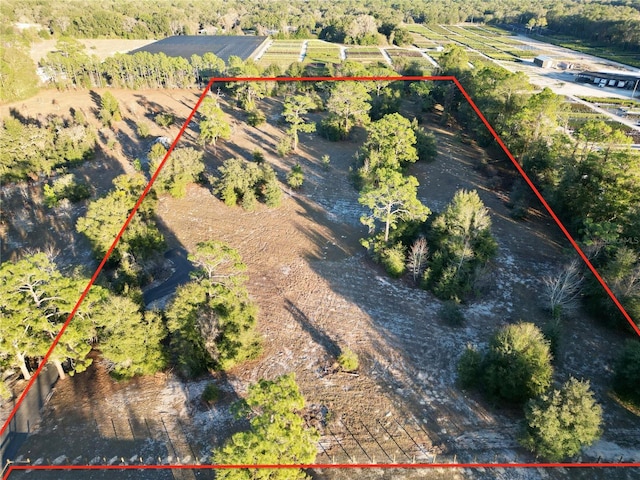 TBD SW 110th Ave, Dunnellon FL, 34432 land for sale