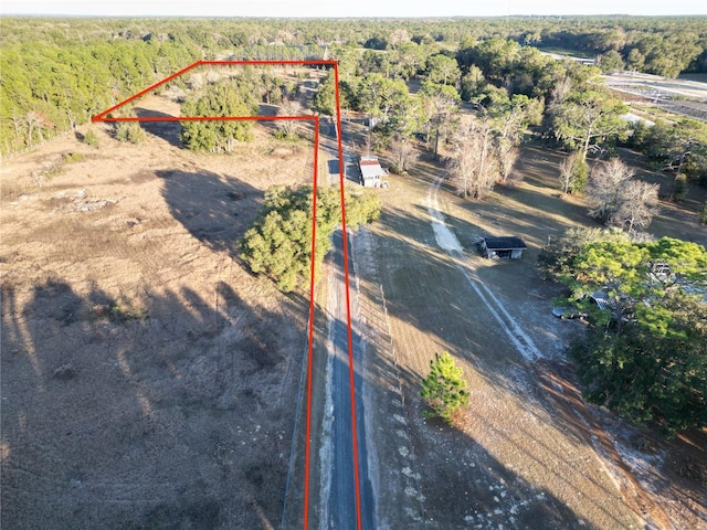 TBD SW 110th Ave, Dunnellon, FL 34432 - photo 3