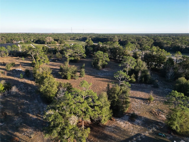 TBD SW 110th Ave, Dunnellon, FL 34432 - photo 5