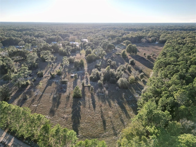 TBD SW 110th Ave, Dunnellon, FL 34432 - photo 6
