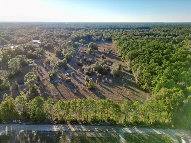 TBD SW 110th Ave, Dunnellon, FL 34432 - photo 7