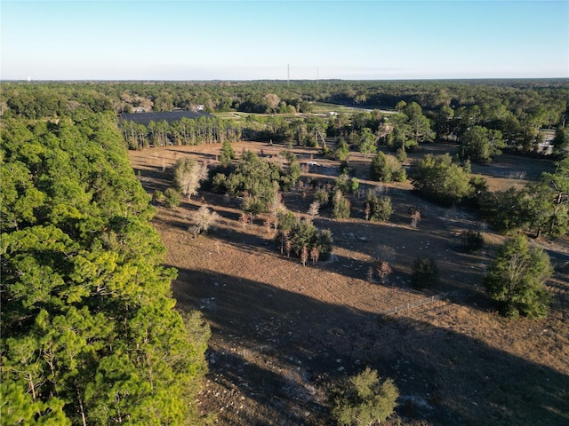 TBD SW 110th Ave, Dunnellon, FL 34432 - photo 8