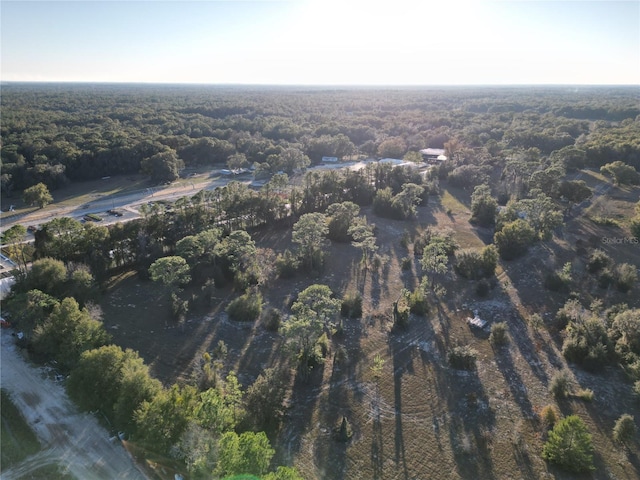 TBD SW 110th Ave, Dunnellon, FL 34432 - photo 10