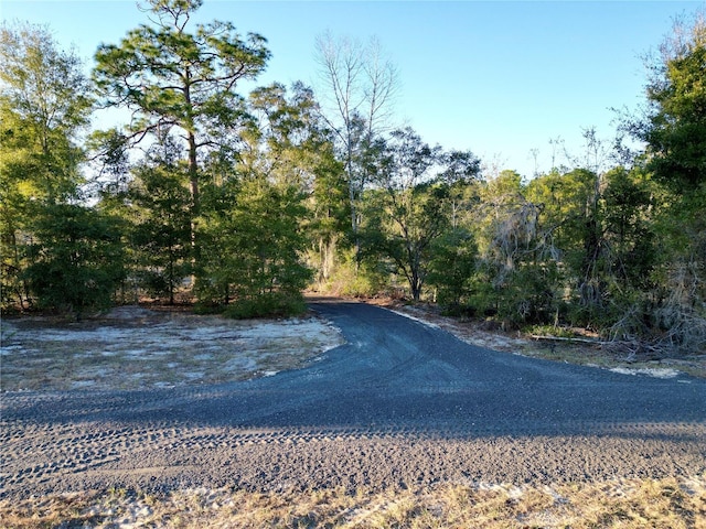 TBD SW 110th Ave, Dunnellon, FL 34432 - photo 13