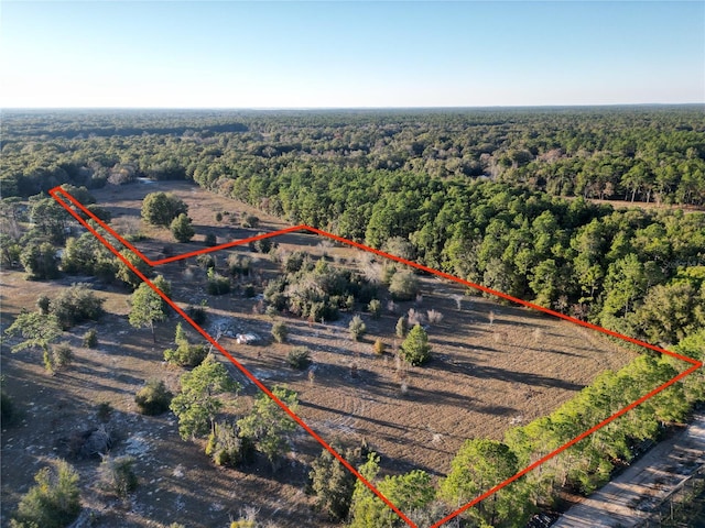 TBD SW 110th Ave, Dunnellon, FL 34432