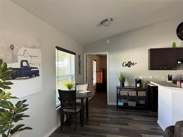 interior space with dark hardwood / wood-style flooring and vaulted ceiling