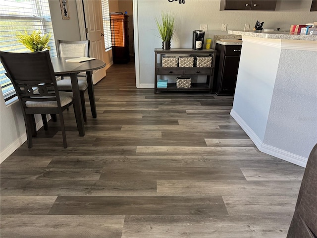 dining area featuring plenty of natural light and dark wood-type flooring