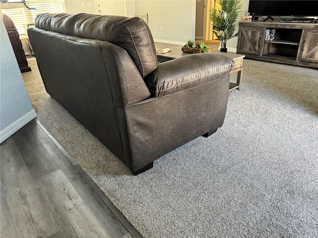 living room featuring hardwood / wood-style flooring