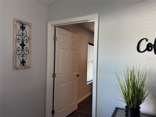 corridor featuring dark hardwood / wood-style floors