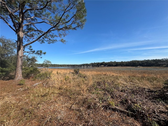 view of local wilderness featuring a rural view