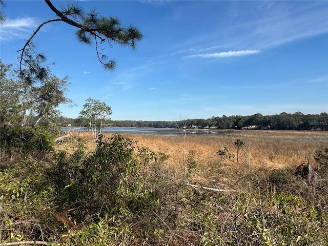 view of local wilderness featuring a rural view