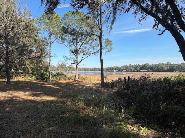 view of yard featuring a rural view