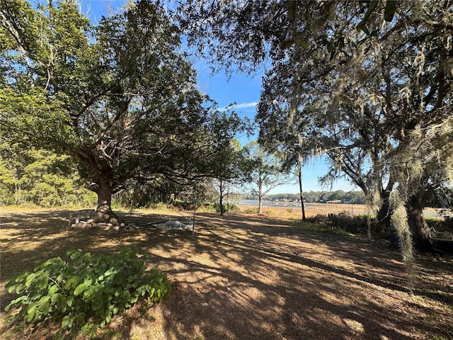 view of landscape