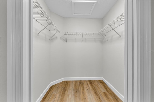 spacious closet featuring wood-type flooring