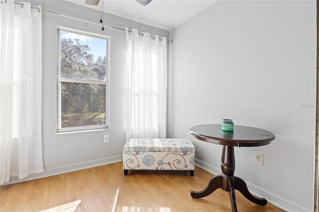 sitting room featuring light wood-type flooring and ceiling fan