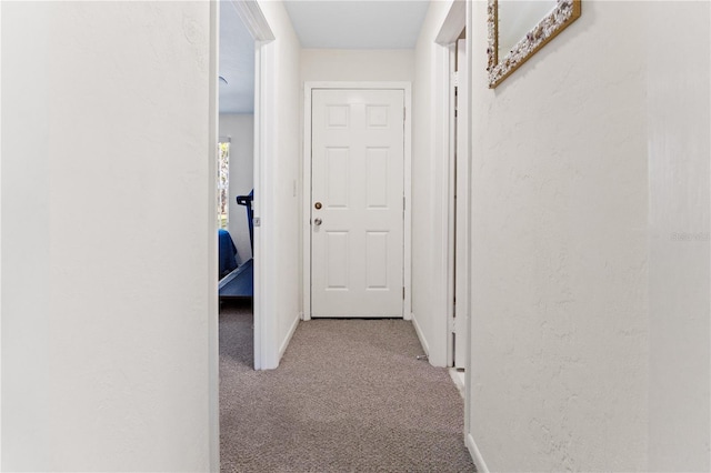 corridor with light carpet