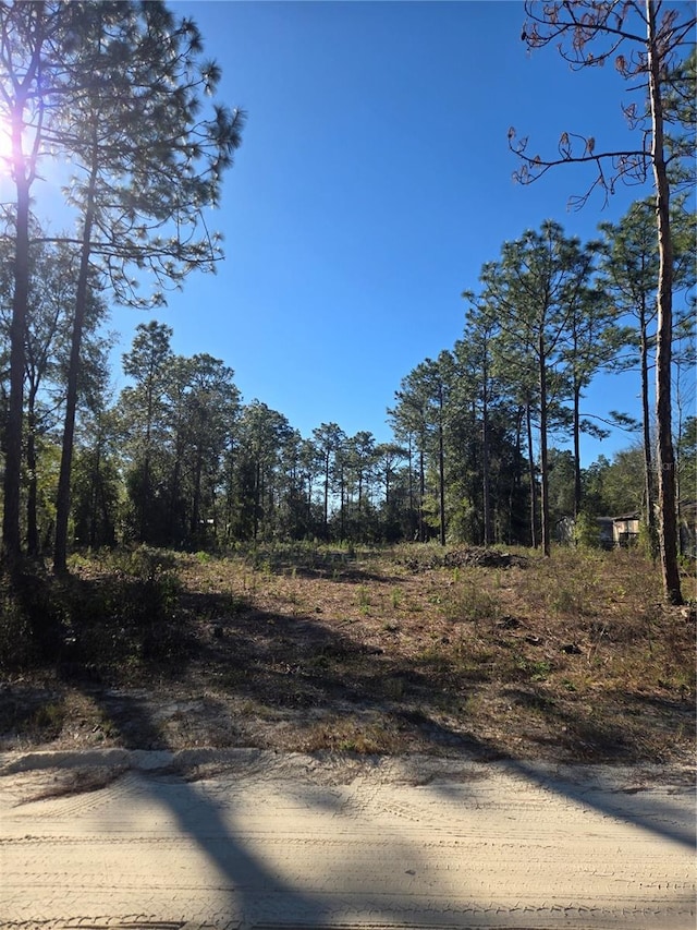 TBD SW 46th St, Dunnellon FL, 34432 land for sale