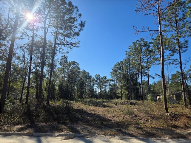 Listing photo 2 for TBD SW 46th St, Dunnellon FL 34432