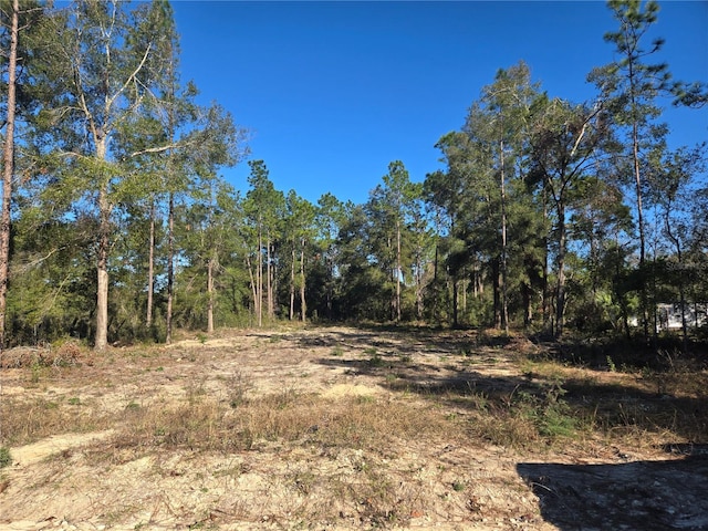 TBD SW 49th Pl, Dunnellon FL, 34432 land for sale