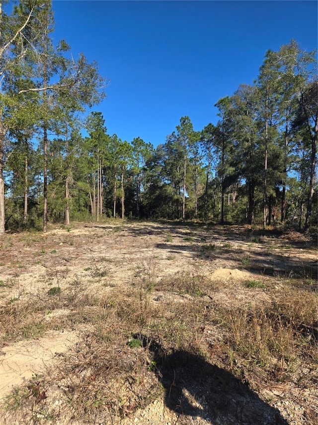 Listing photo 2 for TBD SW 49th Pl, Dunnellon FL 34432