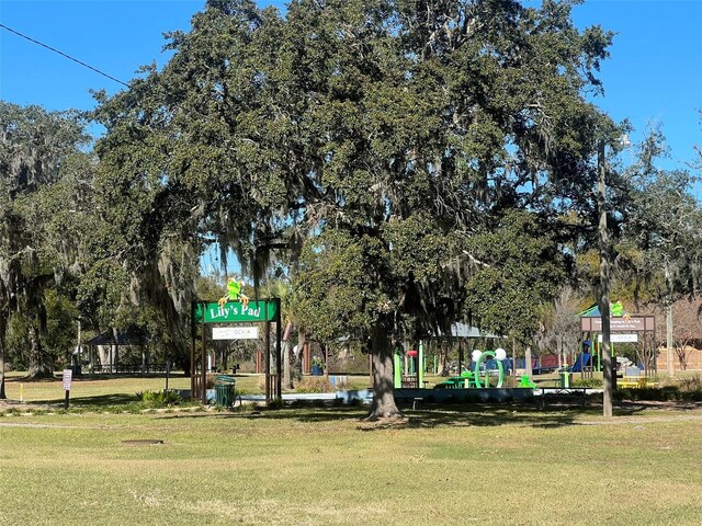 view of community with a yard