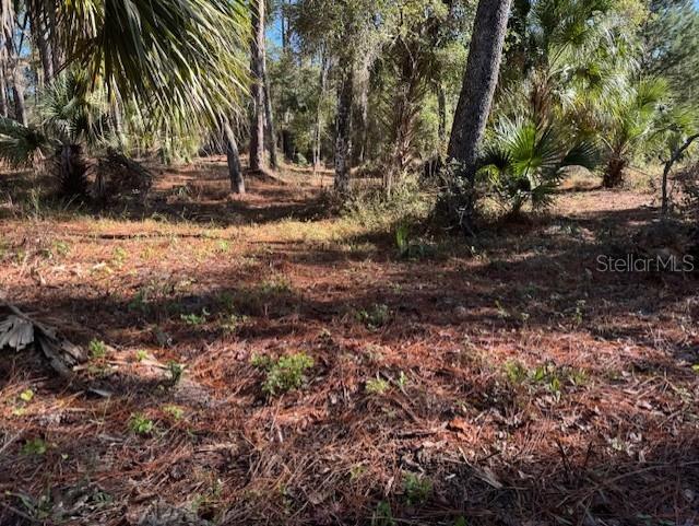 8779 N Ramble Pt Unit 17, Citrus Springs FL, 34434 land for sale