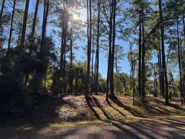 8767 N Ramble Pt Unit 17, Citrus Springs FL, 34434 land for sale