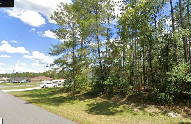 Listing photo 3 for 129th Pl, Ocala FL 34473