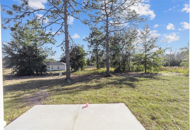 view of yard featuring a patio area