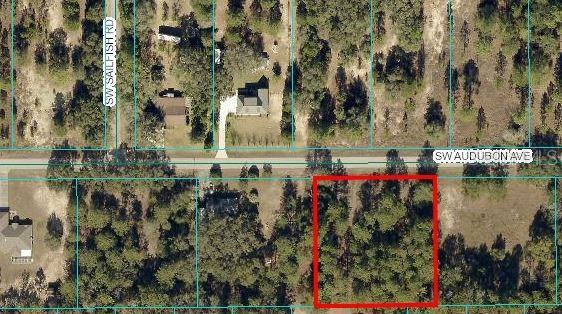 00 SW Audubon Ave, Dunnellon FL, 34431 land for sale