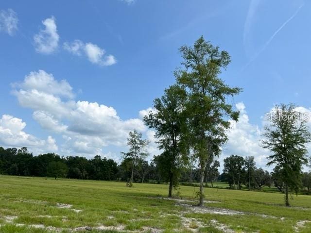 TBD NW 14th St, Ocala FL, 34482 land for sale