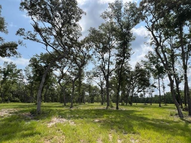 TBD NW 14th St, Ocala FL, 34482 land for sale