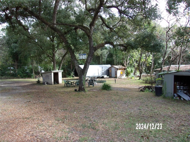 view of yard with a shed