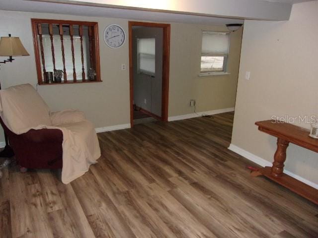 living area featuring wood-type flooring