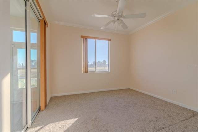 carpeted empty room featuring crown molding and ceiling fan