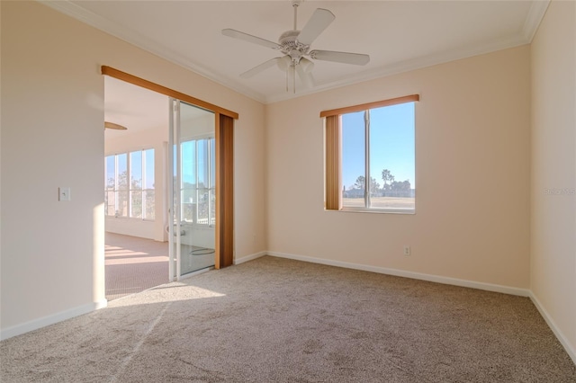 carpeted spare room with ceiling fan and crown molding