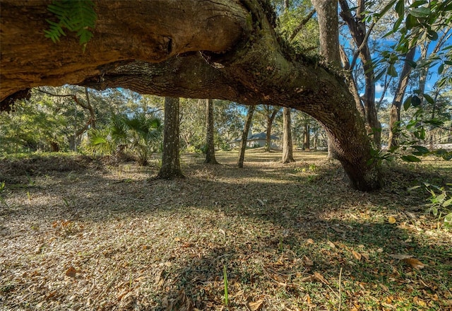 view of nature