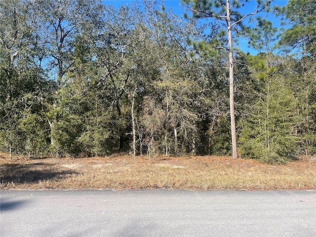 Listing photo 3 for Ne 152 Terrace, Williston FL 32696