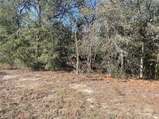 Ne 152 Terrace, Williston FL, 32696 land for sale