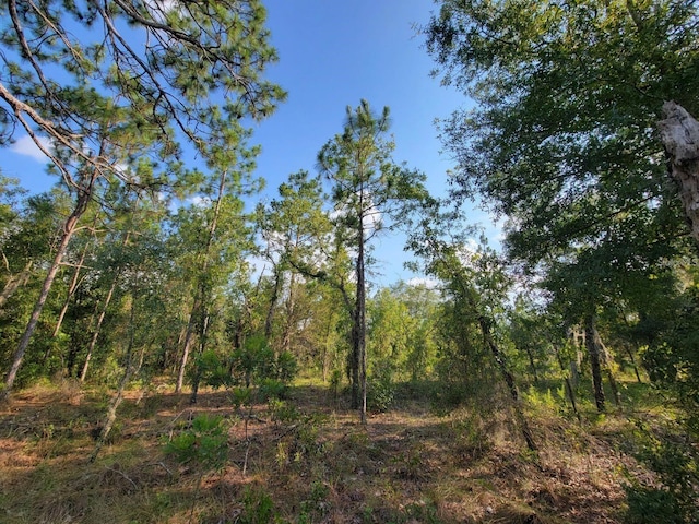 80th Ave NE, Bronson FL, 32621 land for sale