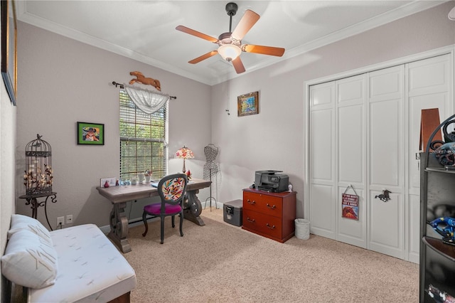 carpeted office with ceiling fan and ornamental molding