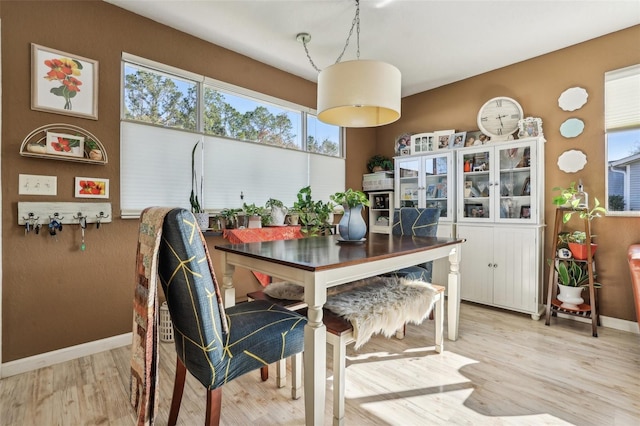 dining area with light hardwood / wood-style floors