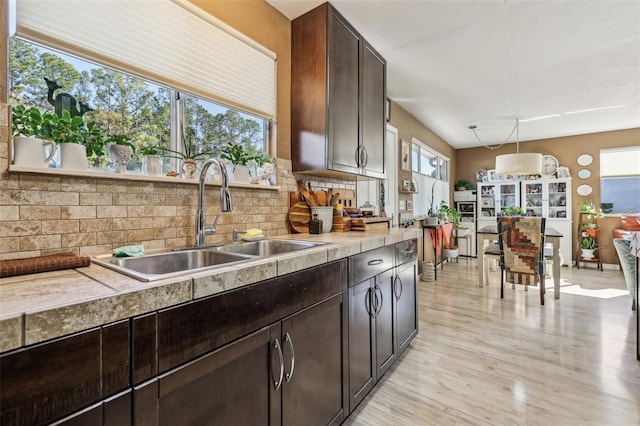 kitchen featuring sink, light hardwood / wood-style flooring, hanging light fixtures, dark brown cabinets, and decorative backsplash