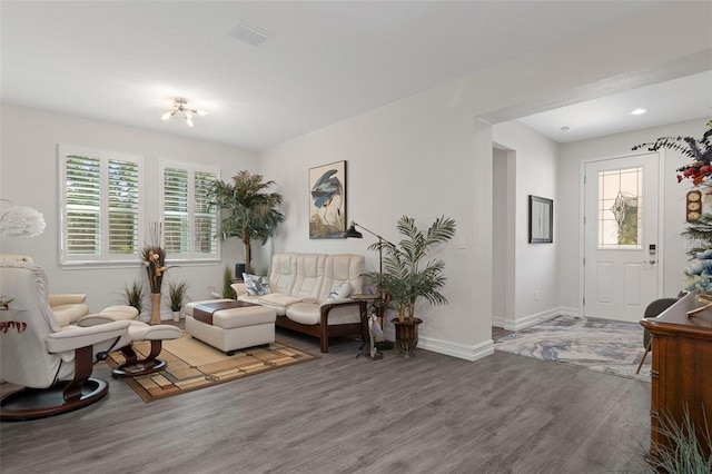 living room with hardwood / wood-style flooring