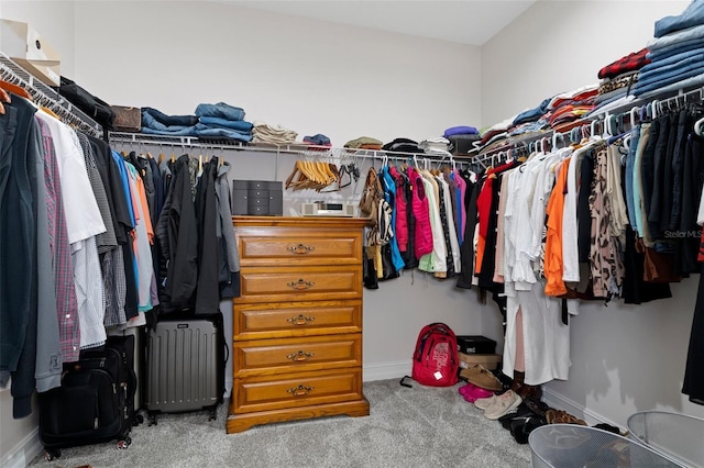 5477 N Princewood Dr, Beverly Hills, FL 34465 - walk in closet with carpet flooring