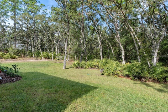 5477 N Princewood Dr, Beverly Hills, FL 34465 - view of green lawn